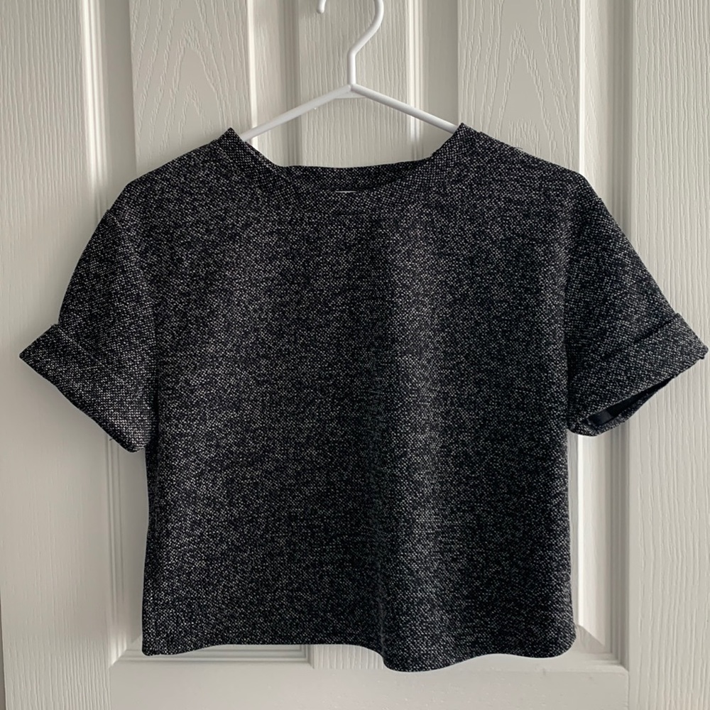 NEW Zara Basic Crop Tee